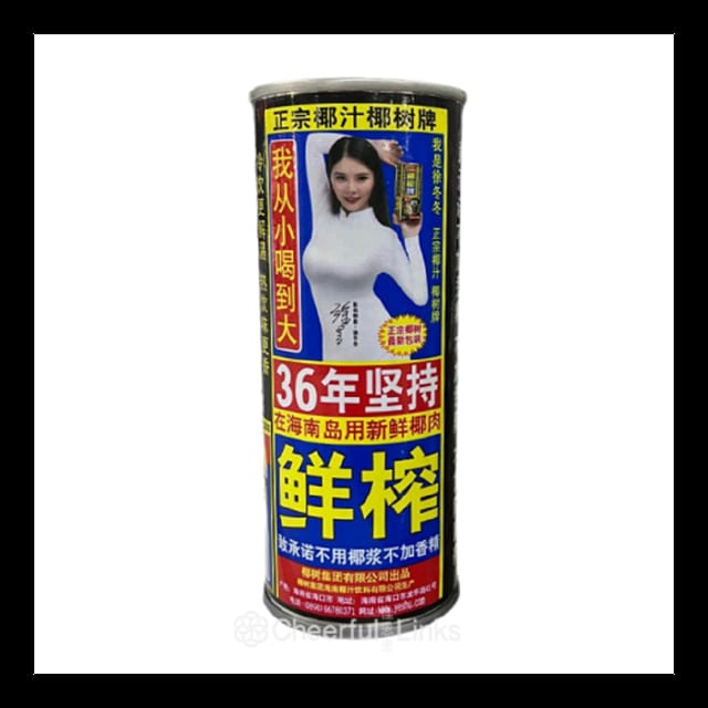 Chinese Coconut Milk 椰汁.